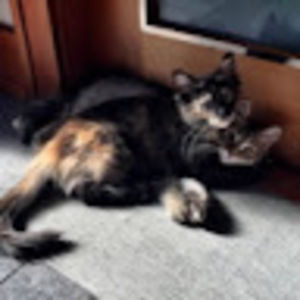 Meet your Posher, Keira